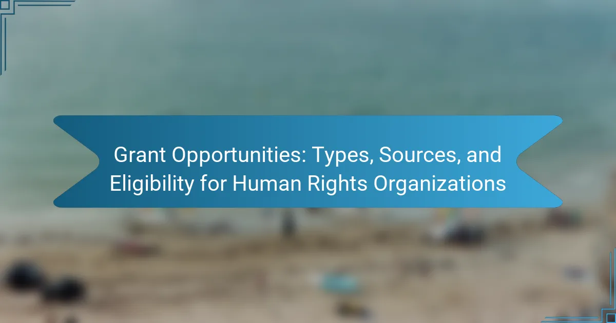 Grant Opportunities: Types, Sources, and Eligibility for Human Rights Organizations