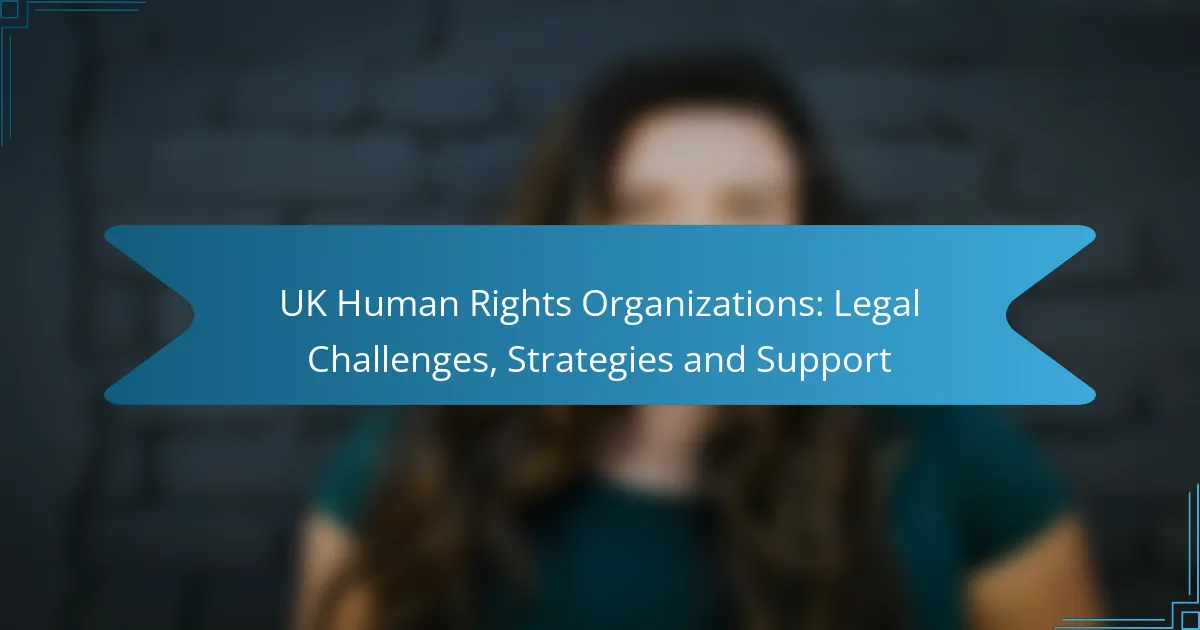 UK Human Rights Organizations: Legal Challenges, Strategies and Support