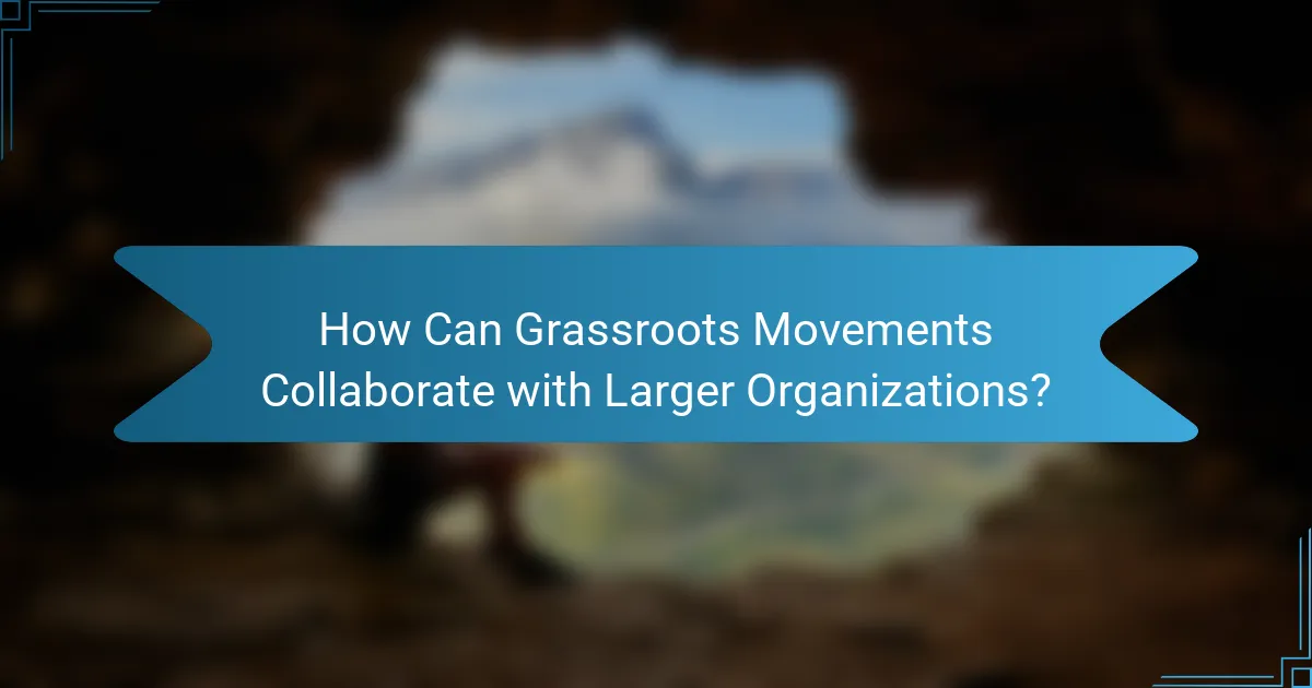 How Can Grassroots Movements Collaborate with Larger Organizations?