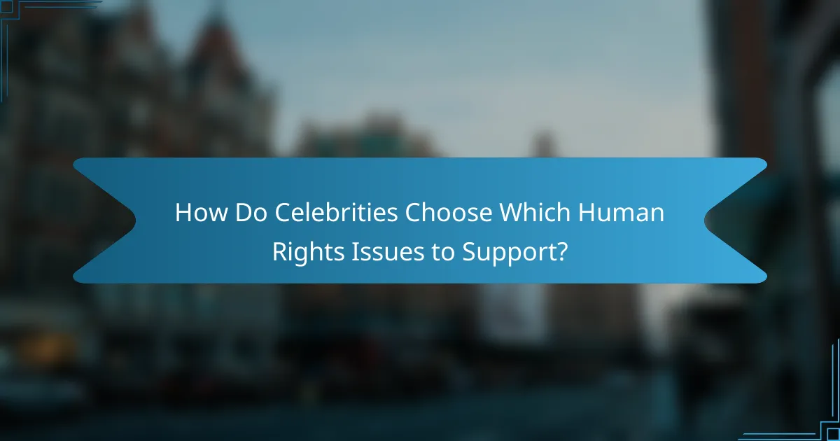 How Do Celebrities Choose Which Human Rights Issues to Support?