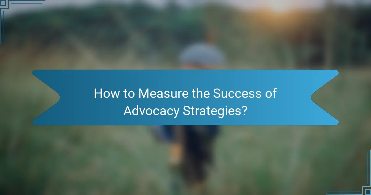 How to Measure the Success of Advocacy Strategies?