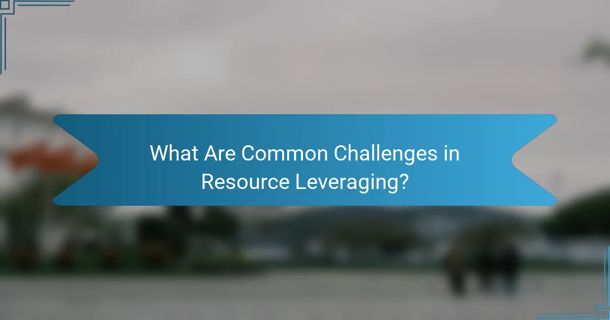What Are Common Challenges in Resource Leveraging?