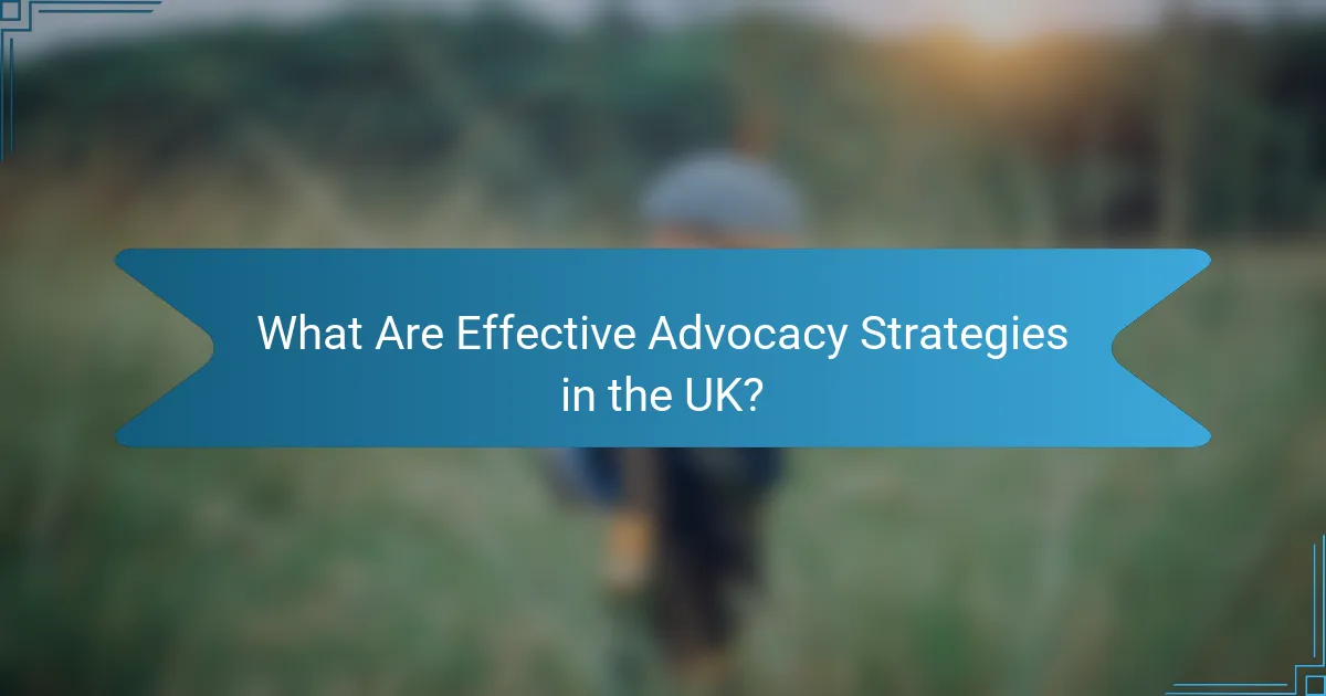 What Are Effective Advocacy Strategies in the UK?