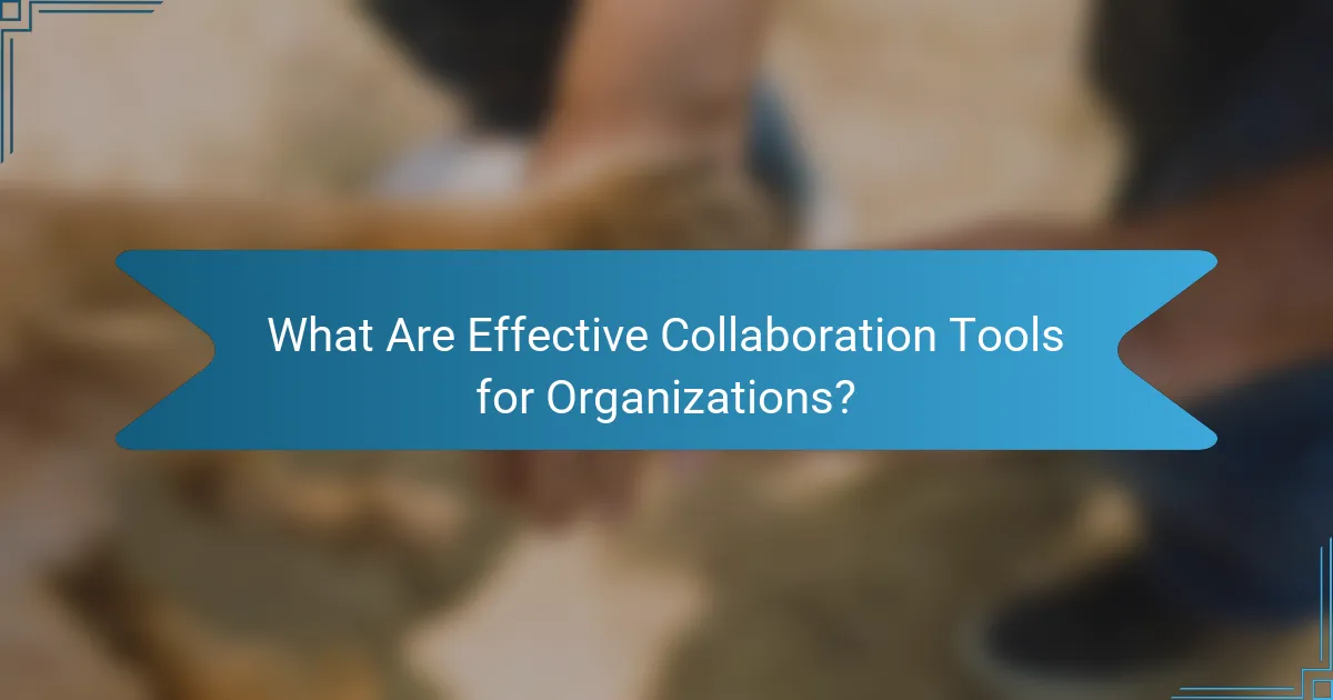 What Are Effective Collaboration Tools for Organizations?
