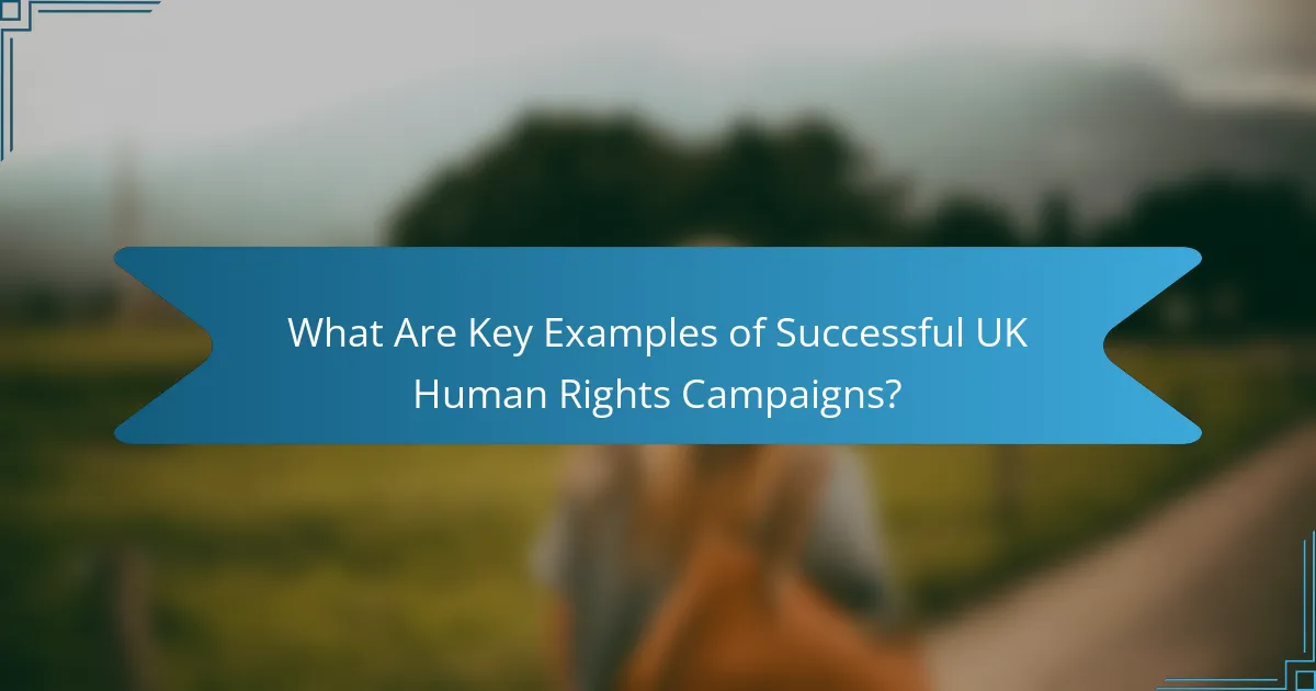 What Are Key Examples of Successful UK Human Rights Campaigns?