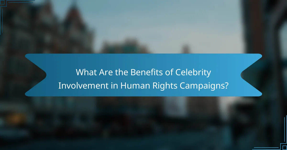 What Are the Benefits of Celebrity Involvement in Human Rights Campaigns?