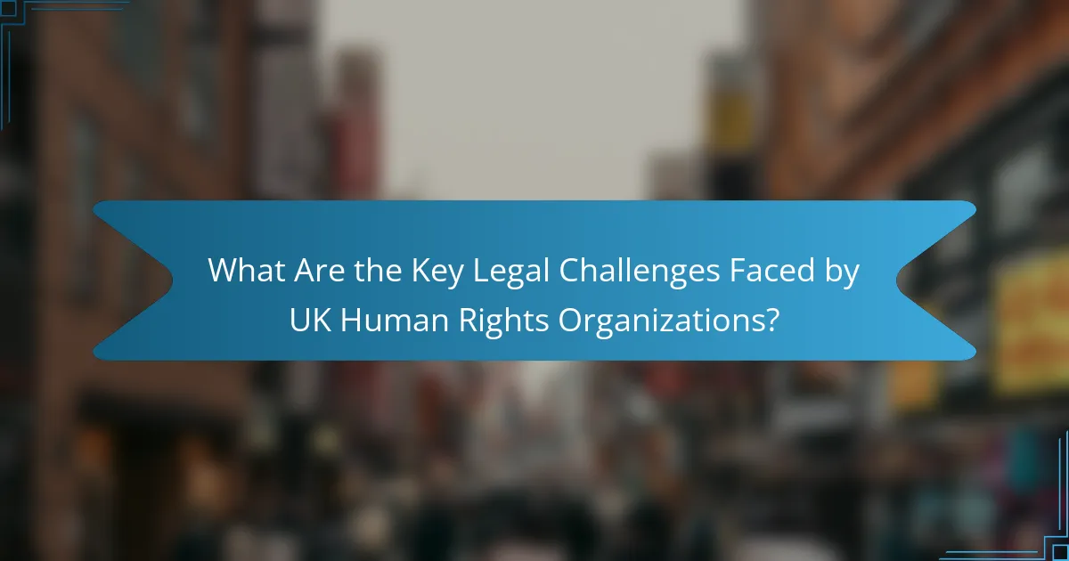 What Are the Key Legal Challenges Faced by UK Human Rights Organizations?