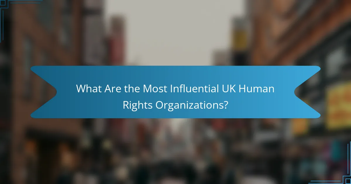 What Are the Most Influential UK Human Rights Organizations?