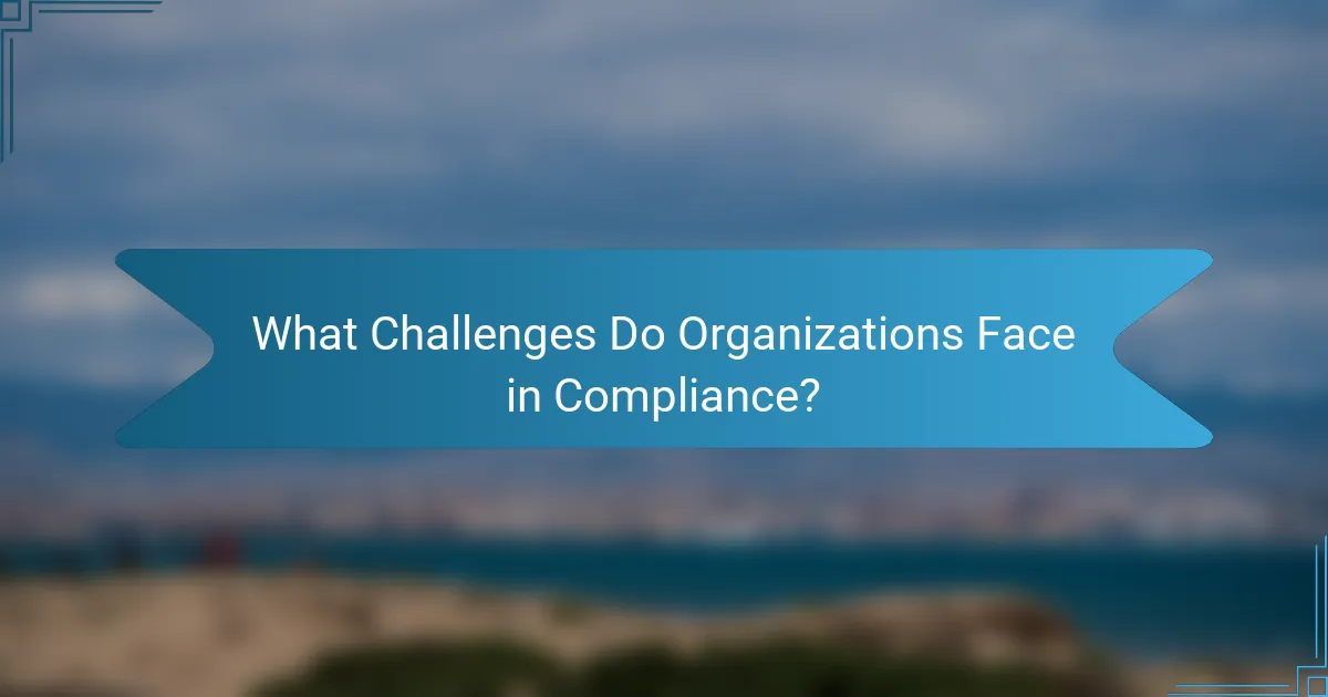 What Challenges Do Organizations Face in Compliance?