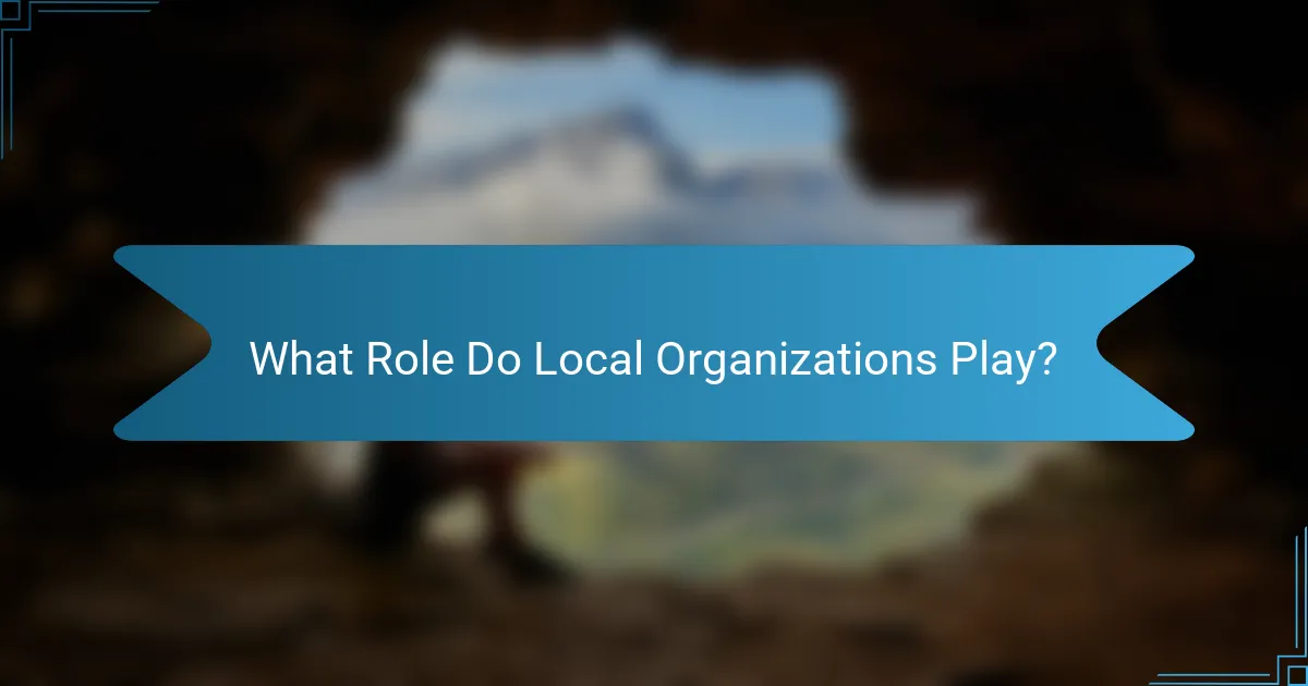What Role Do Local Organizations Play?