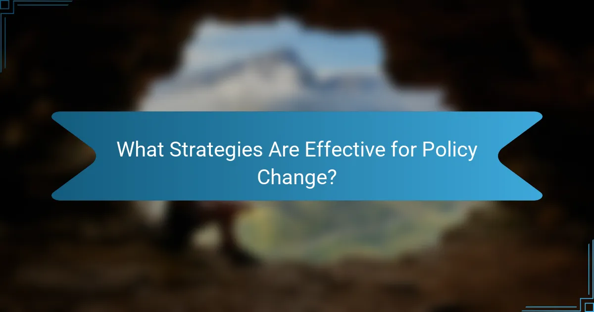 What Strategies Are Effective for Policy Change?