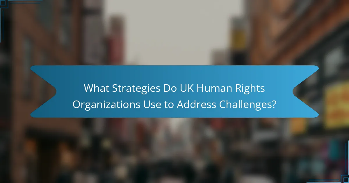 What Strategies Do UK Human Rights Organizations Use to Address Challenges?